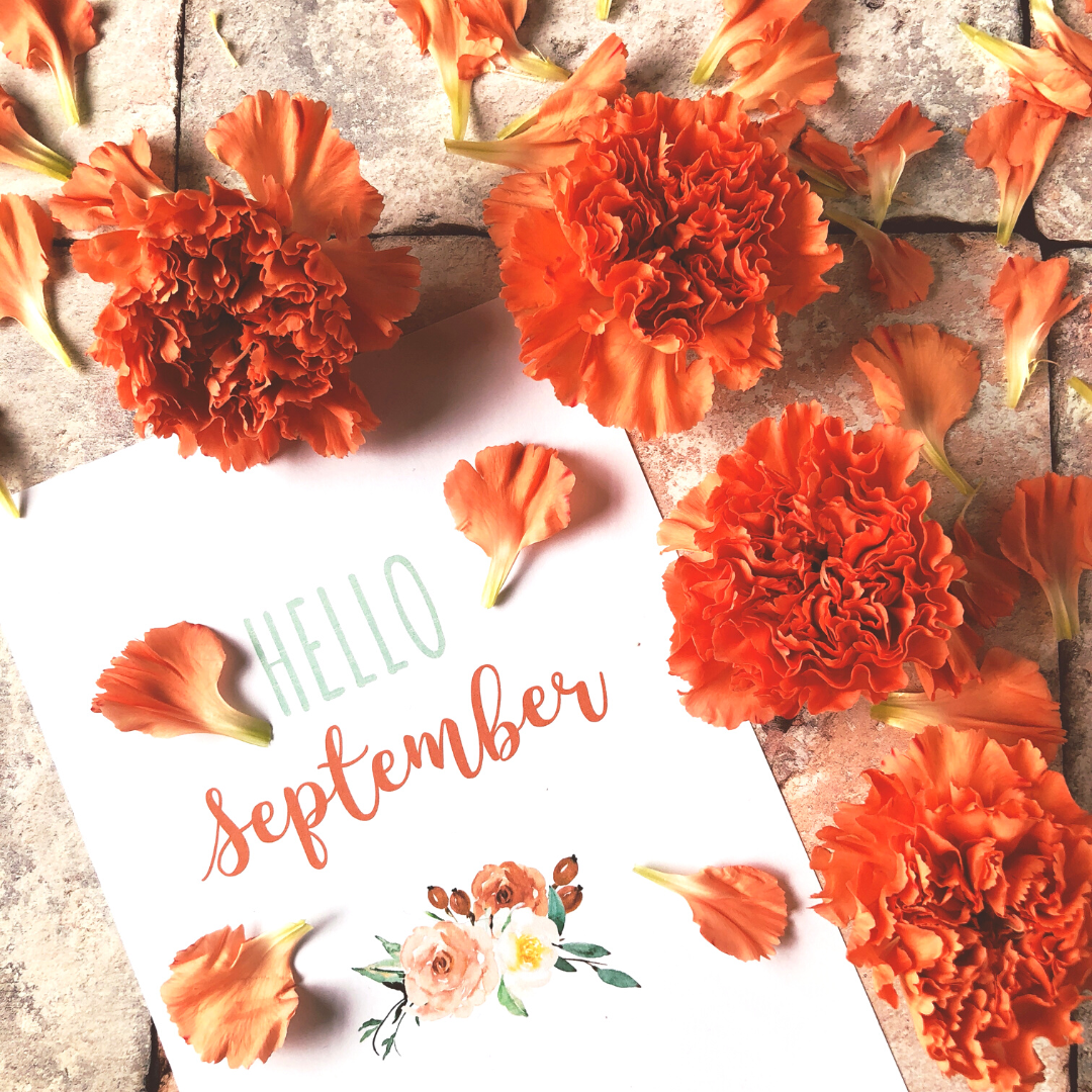 
                Affronta settembre con più energia | La natura ti viene in aiuto
              